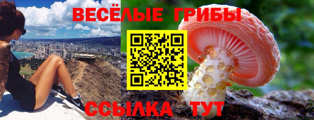Зеленогорск  Галлюциногенные грибы ЛСД  Вход с VPN 